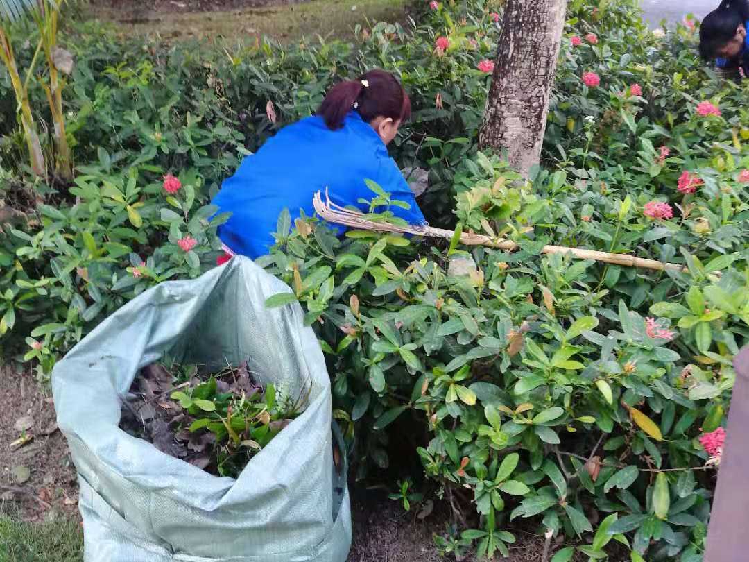 园林绿化公司清理垃圾