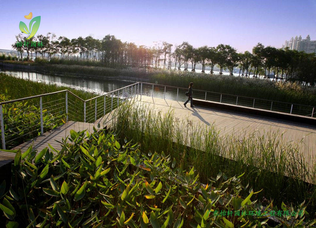 上海世博后滩公园景观设计改造案例效果图