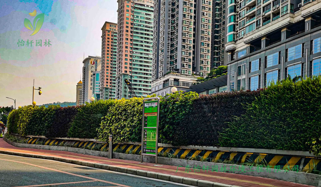 广州林和路道路绿化工程施工改造案例效果展示图