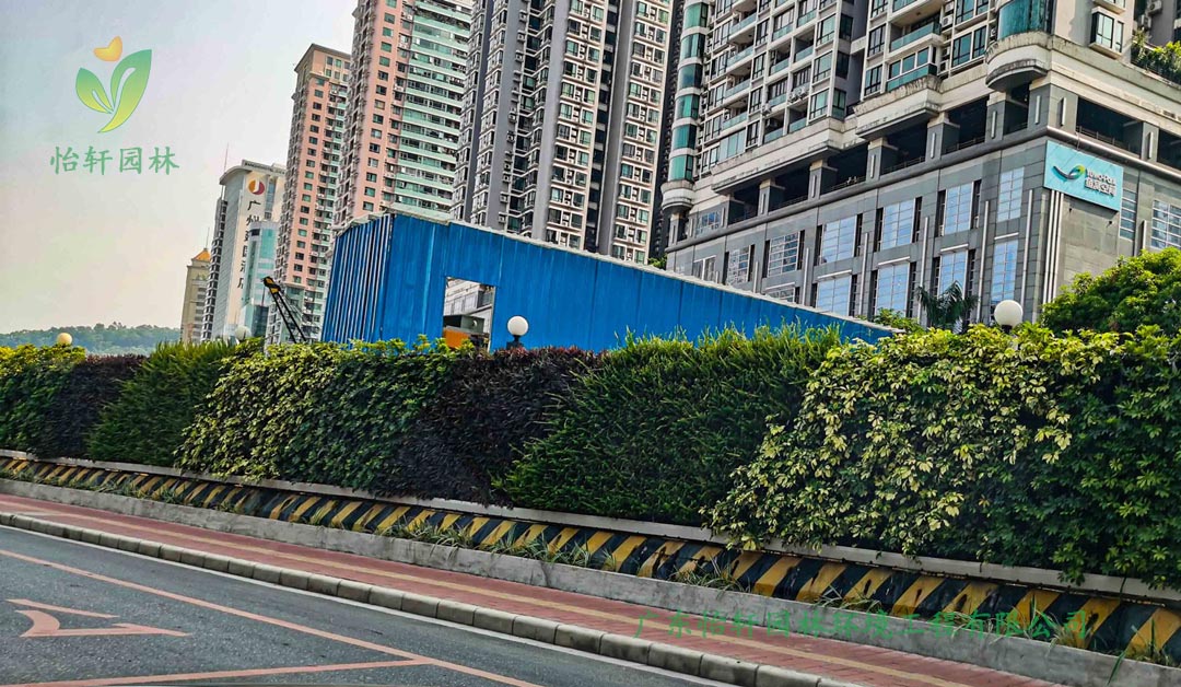 广州林和路道路绿化工程施工改造案例效果展示图