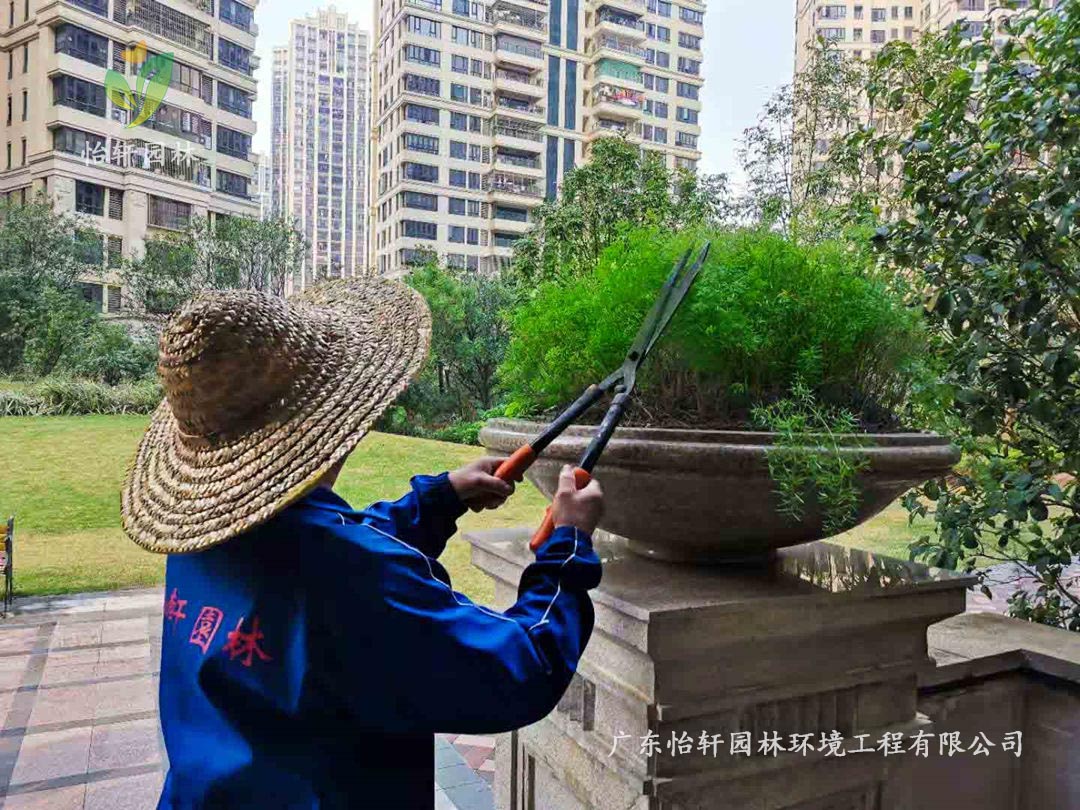 深圳佳兆业集团旗下水岸新都小区绿化养护