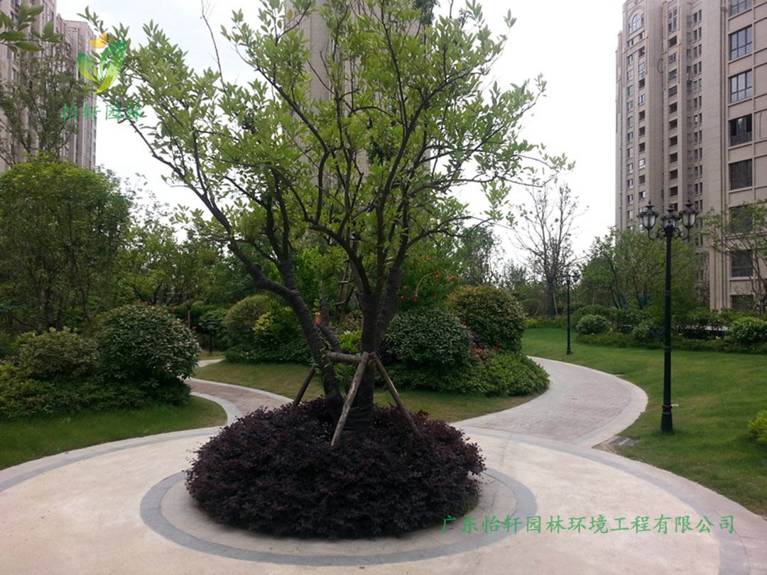 上海远洋香奈高档小区园林绿化工程效果图