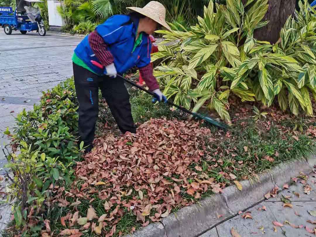 绿化公司工人清理绿化垃圾