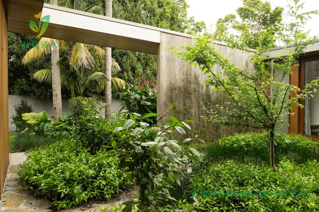 阳江海陵岛海边私人别墅花园绿化工程设计施工改造实景图