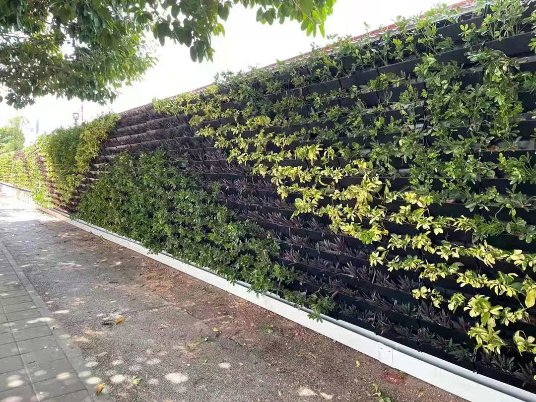 垂直绿化墙绿化设计
