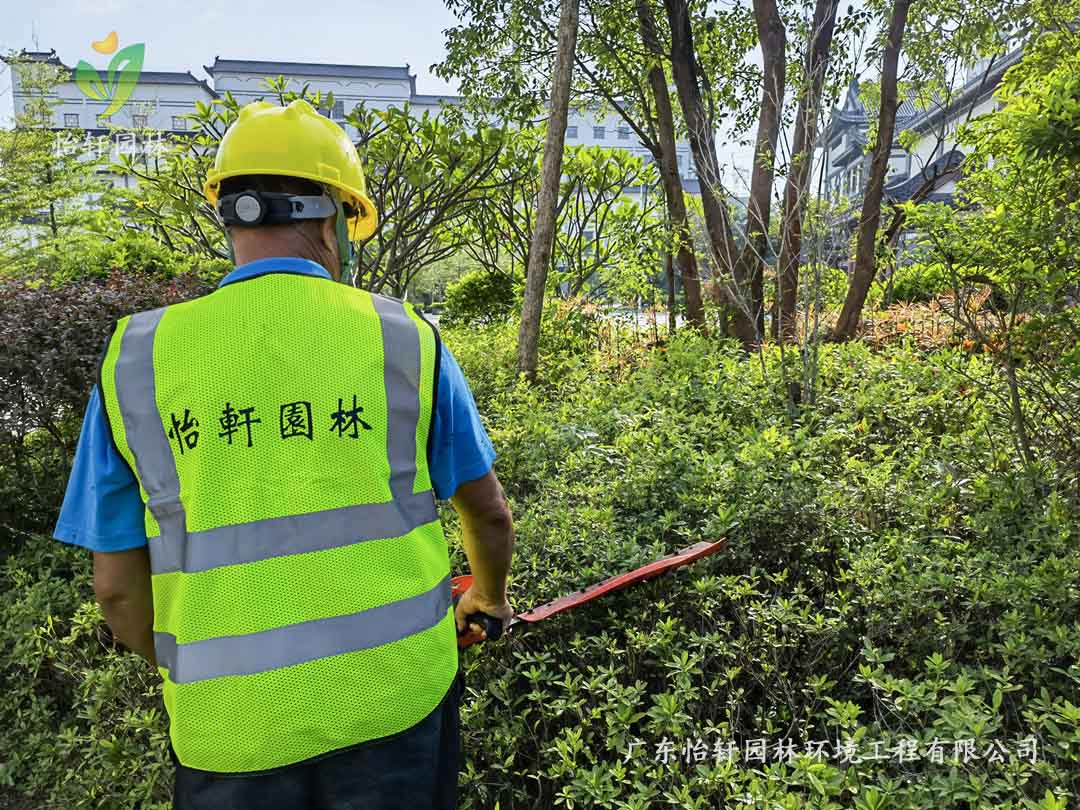 惠州绿色动力厂区日常养护工作