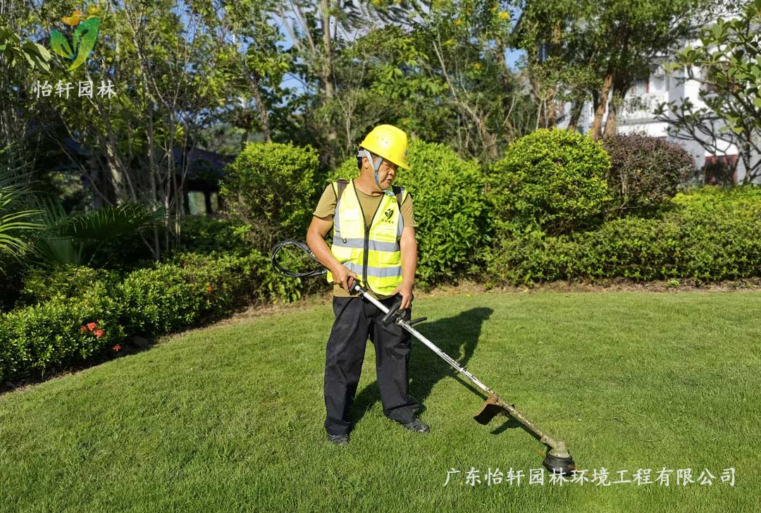 5惠州绿色动力厂区日常养护工作