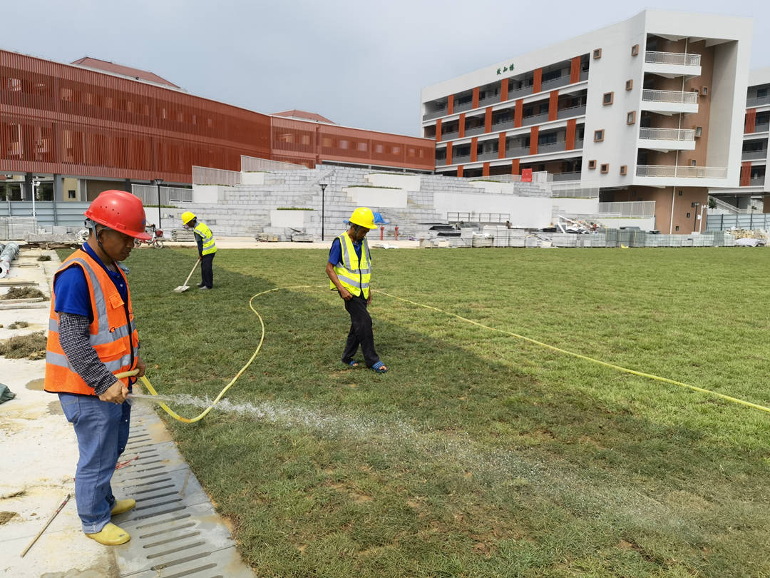 新建草坪绿化养护浇水 新建草坪绿化养护浇水