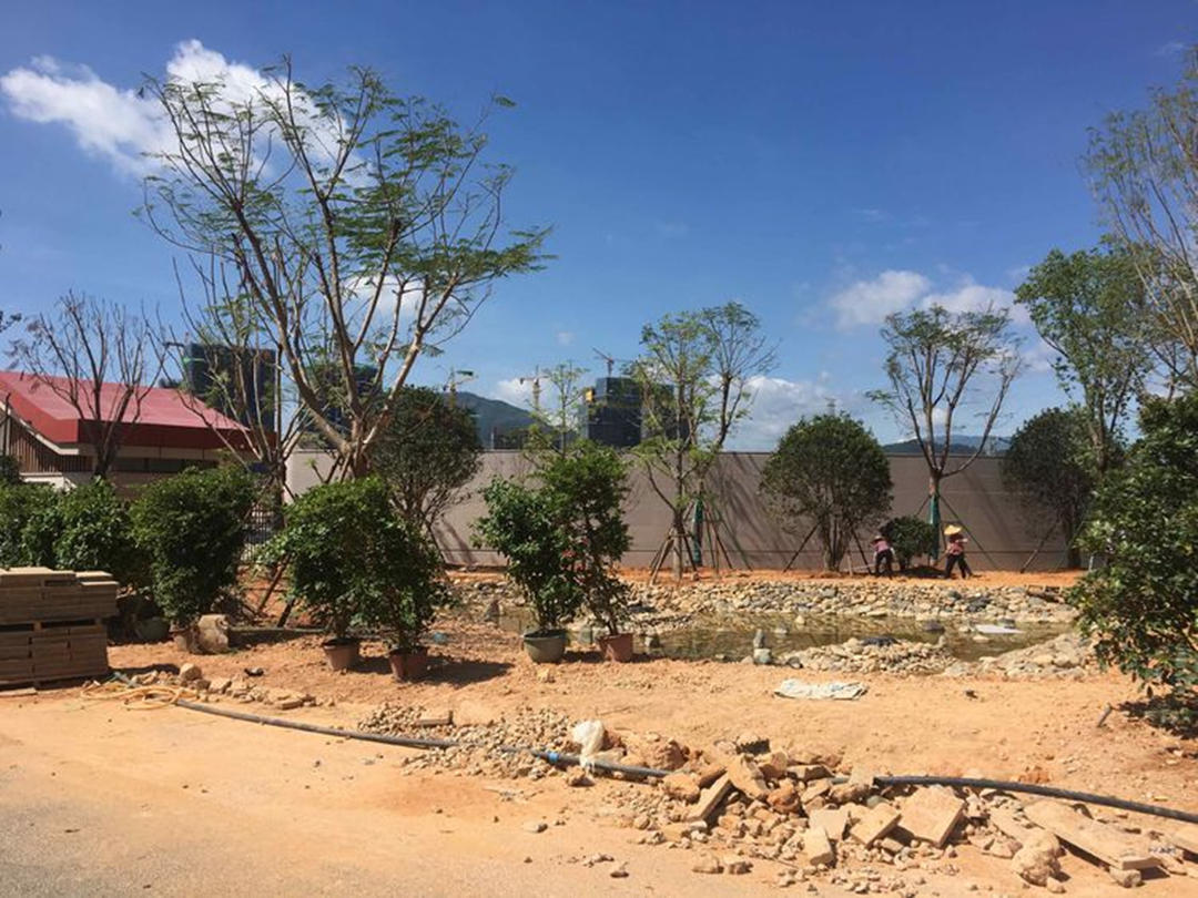 园林绿化工程施工现场管理 园林绿化工程施工现场管理