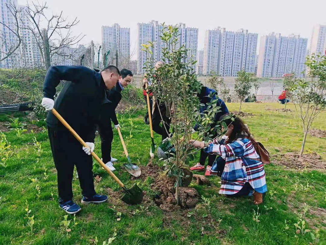 植树活动现场