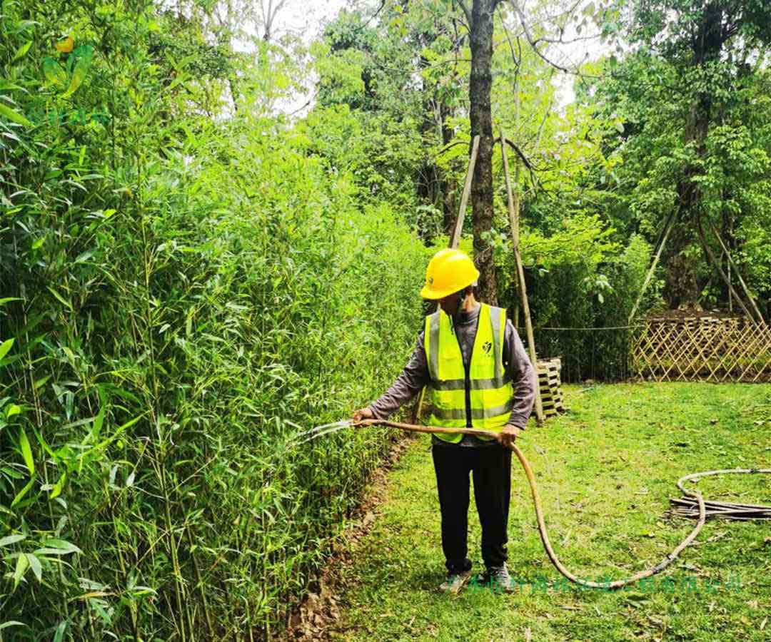 番禺露营基地绿化工程种植完成后浇水