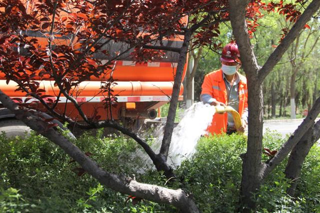 城区道路绿化养护浇水