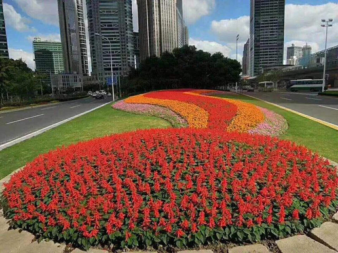 园林景观设计中关于道路景观的构成