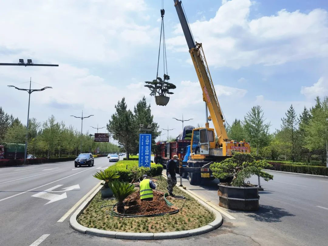 园林绿化工程苗木种植施工现场