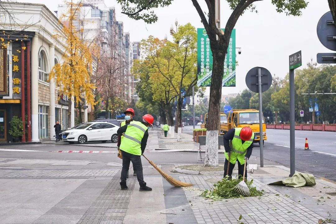 冬季园林绿化养护清理落叶