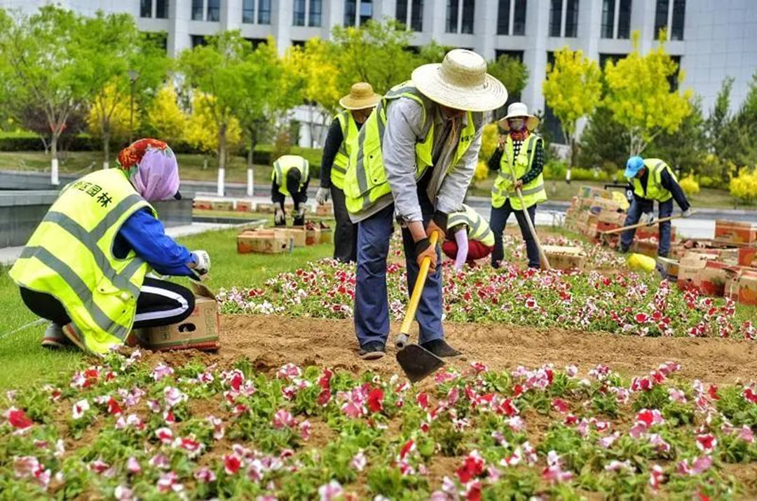 园林绿化工程施工种植