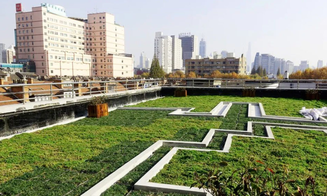 屋顶绿化工程种植结构