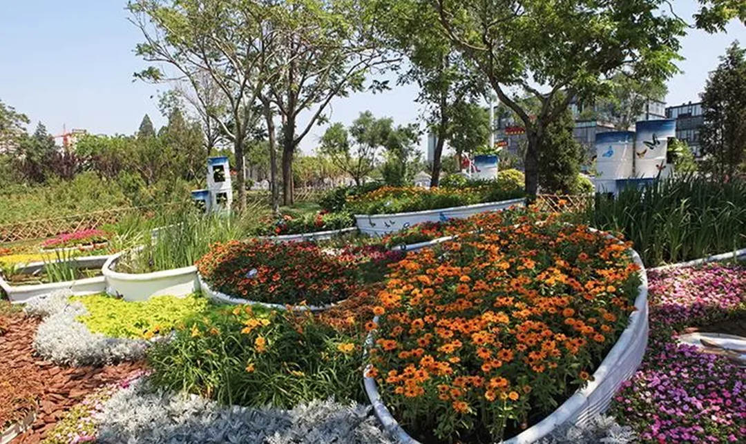 低碳花园景观设计