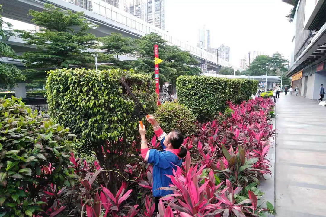 绿化养护修剪