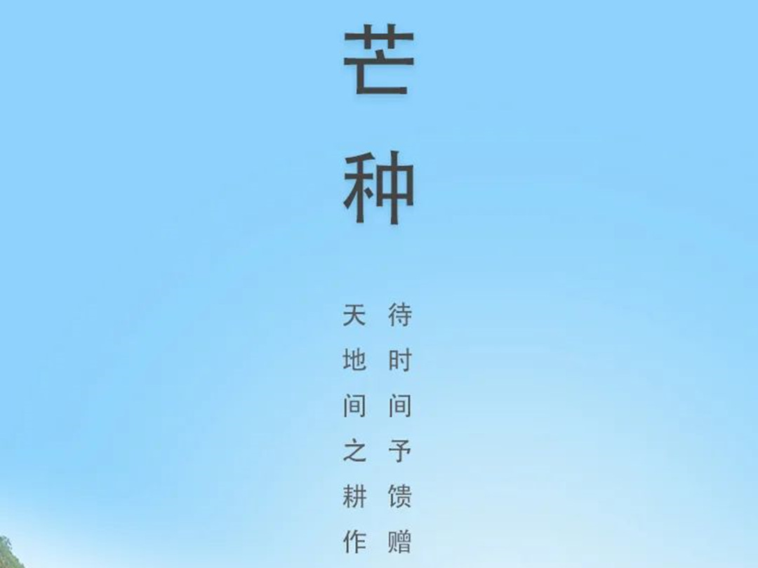 园林绿化公司：芒种