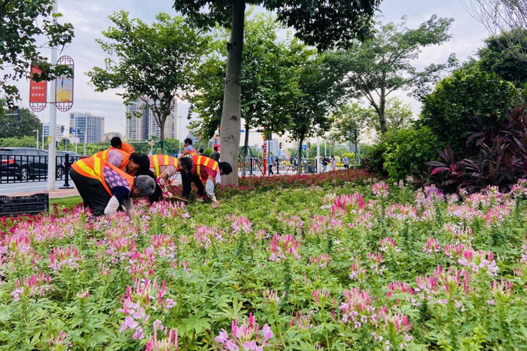 绿化设计时花的养护管理
