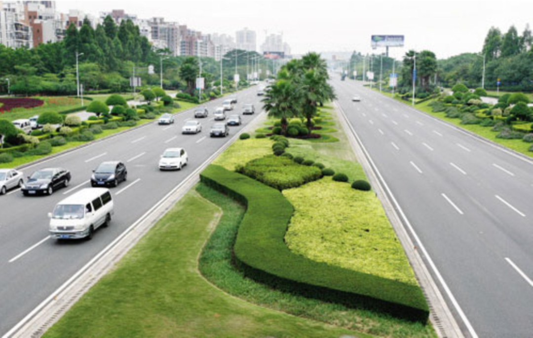城市道路绿化设计