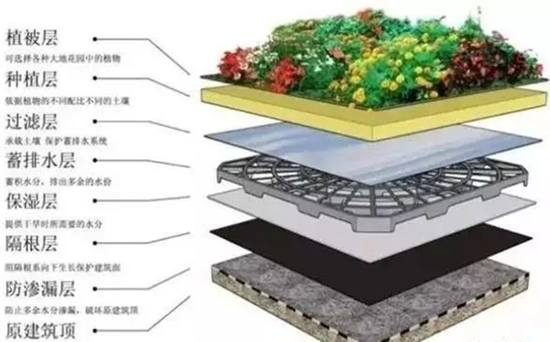 屋顶花园绿化工程的种植基本构层
