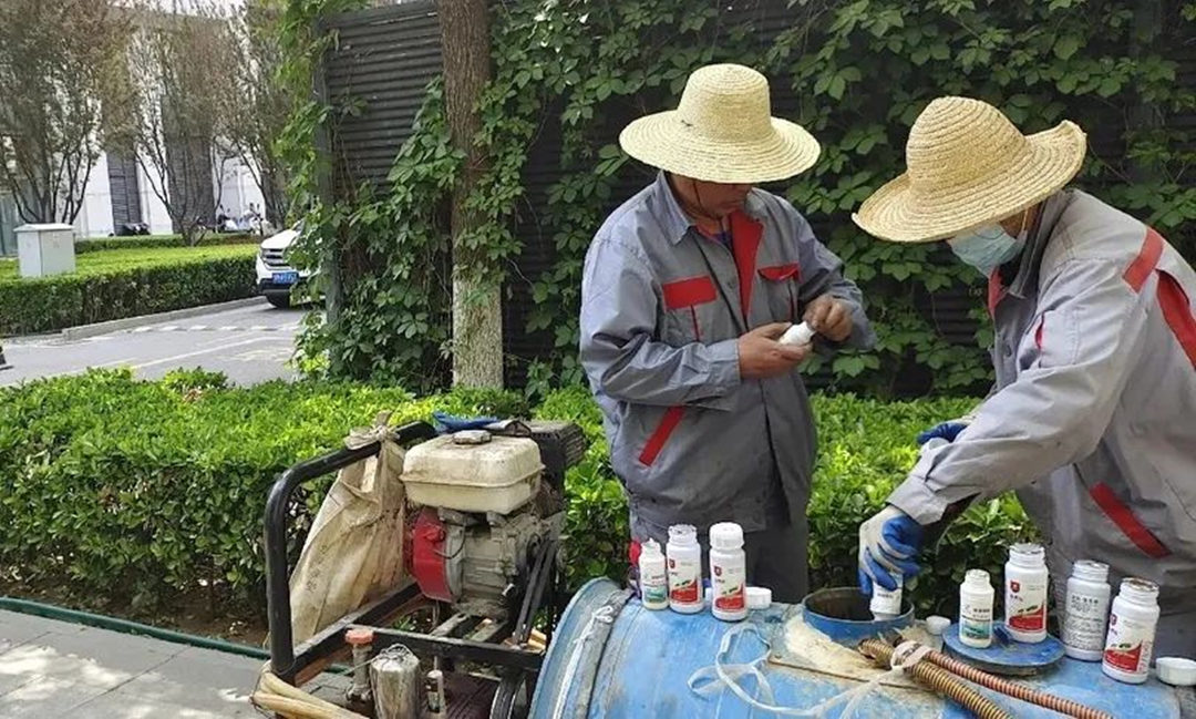 园林绿化养护中关于药剂混用的注意事项