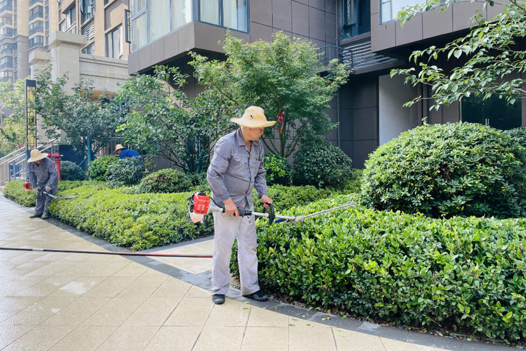 夏季小区绿化养护修剪