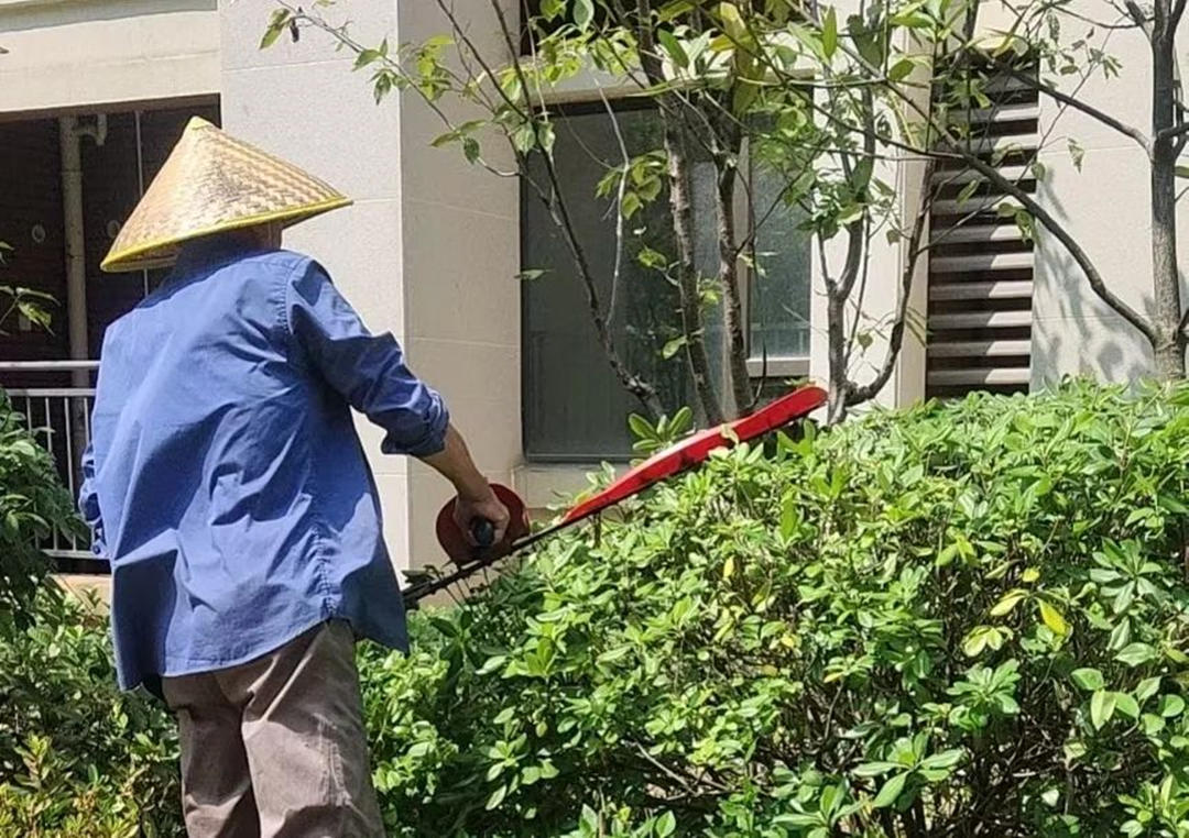 园林绿化养护修剪 园林绿化养护修剪