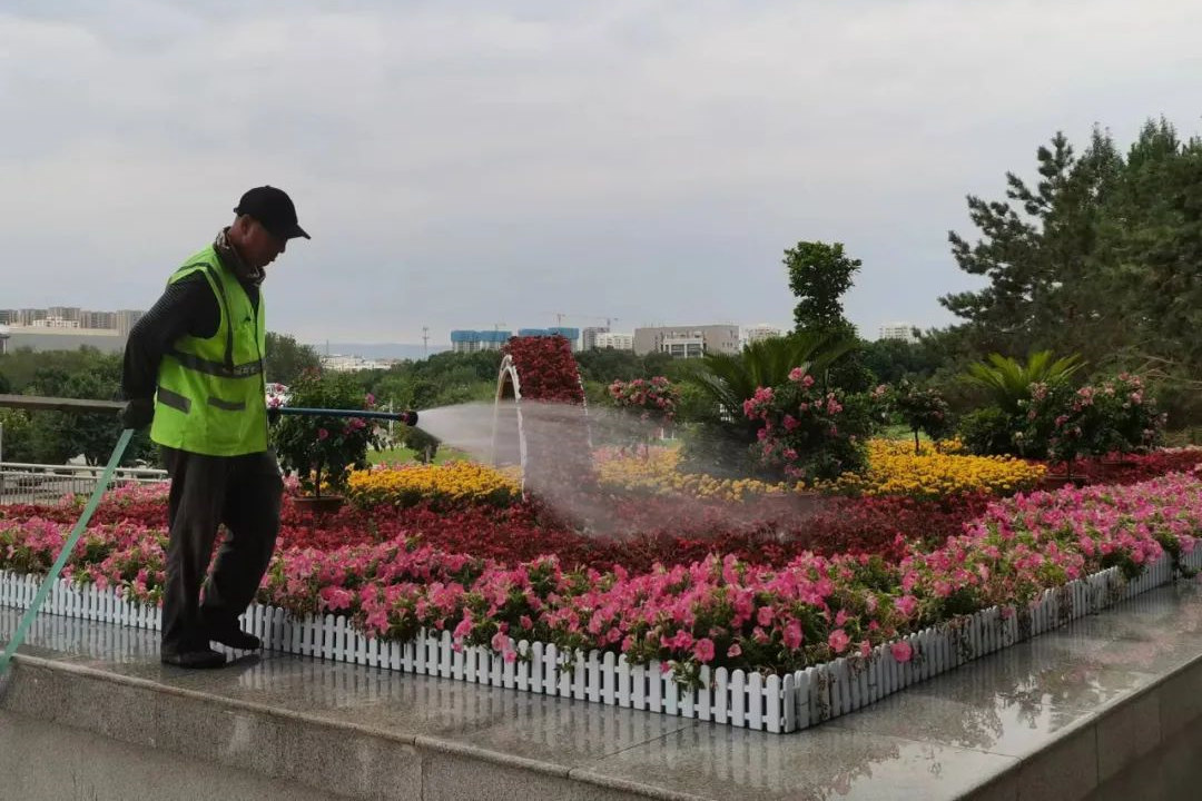 花卉种植后的绿化养护浇水