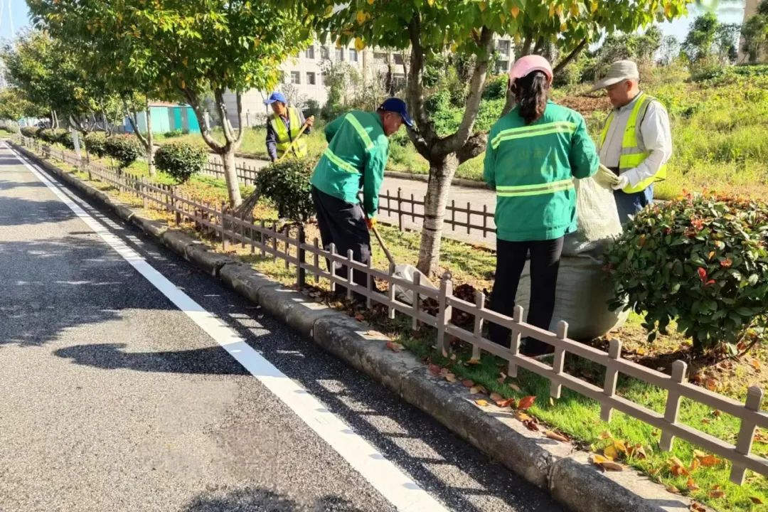 冬季园林绿化养护重要性