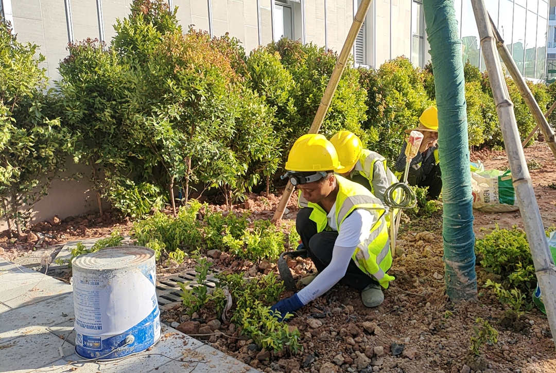 园林绿化工程施工种植现场